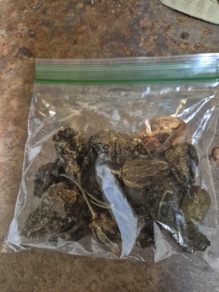 I hit the jackpot and need ideas