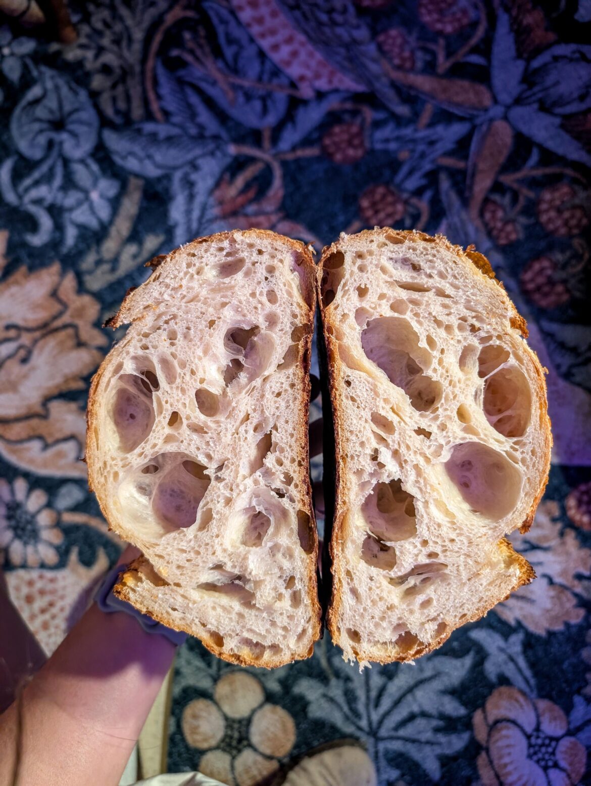 This was supposed to be for sandwiches…. Holiest loaf to date This was supposed to be for sandwiches.... Holiest loaf to date