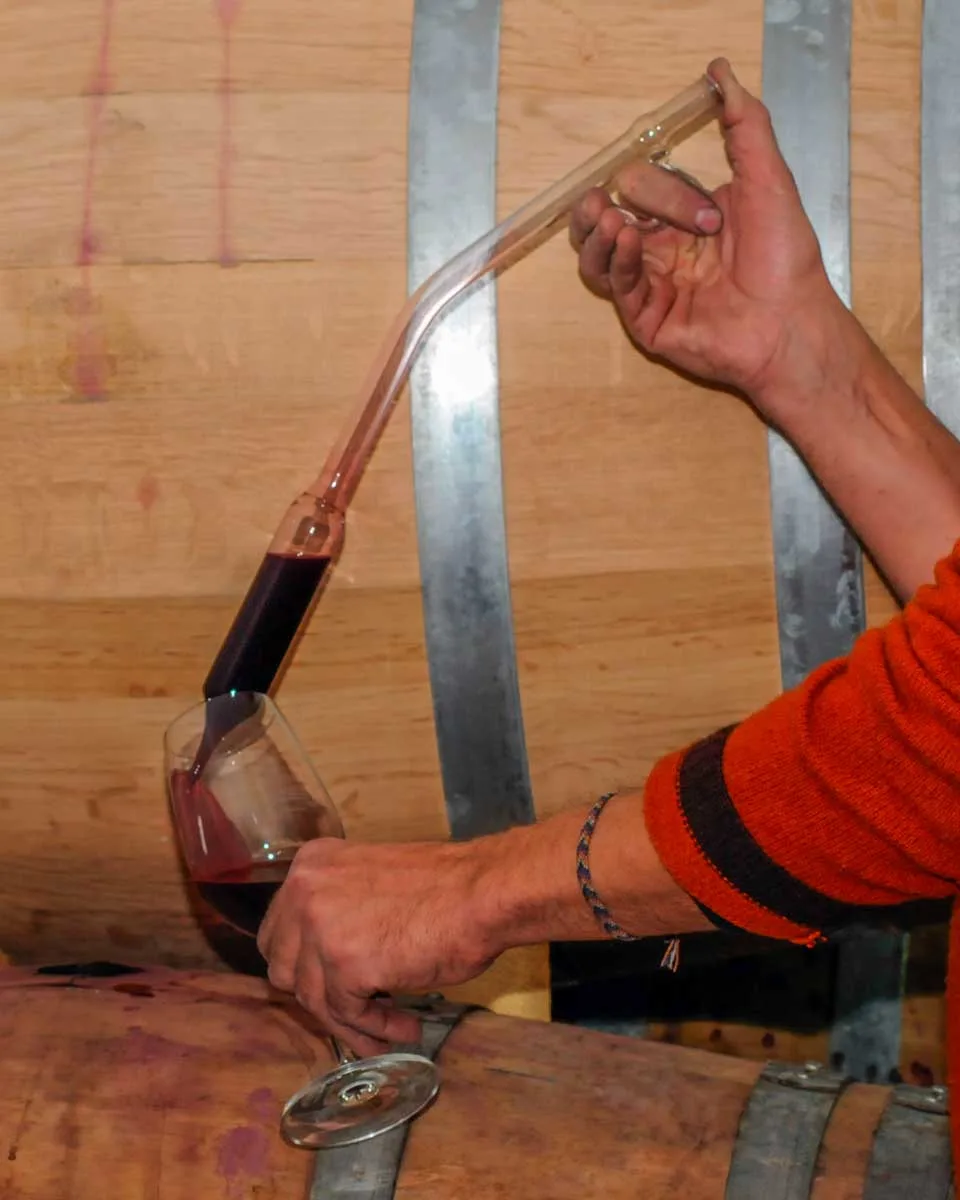A man pulls wine straight from the barrel on a wine tour in Mendoza, Argentina
