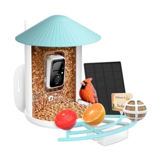 Netvue by Birdfy Pro Bird Feeder with Camera