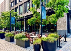 Bar Colline Arlington