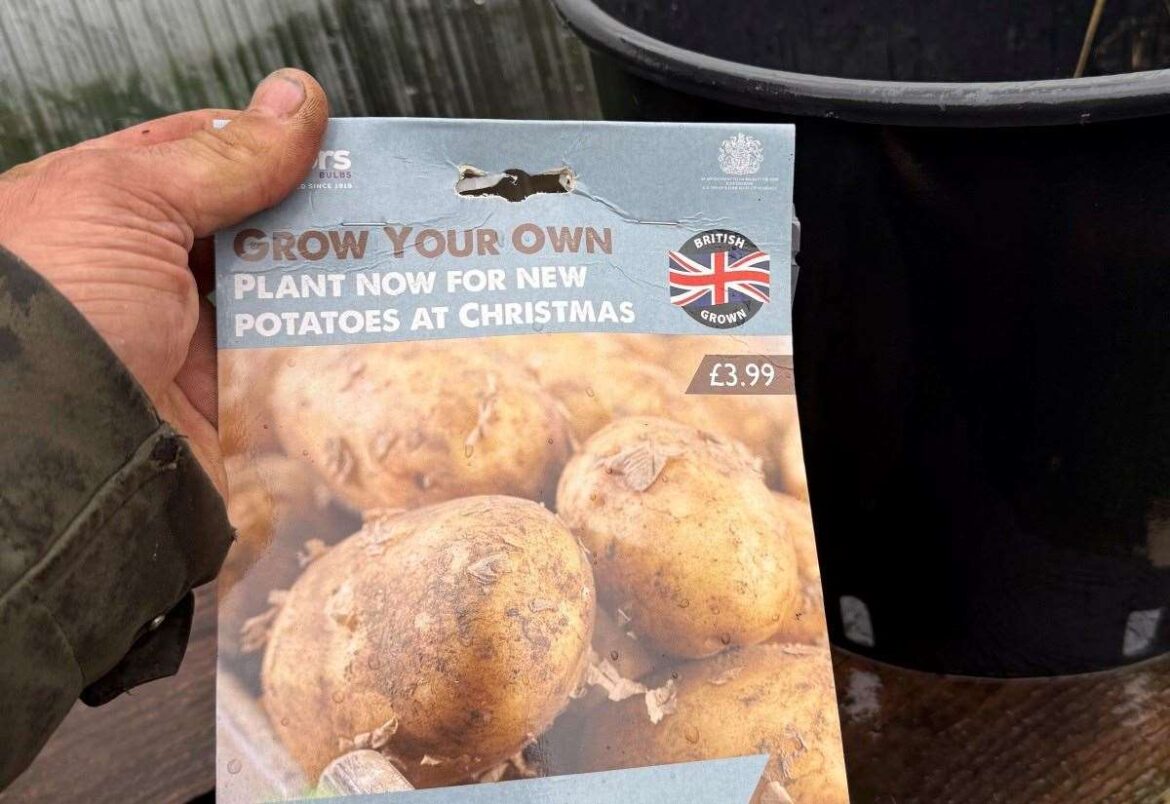 Too early to mention Christmas?