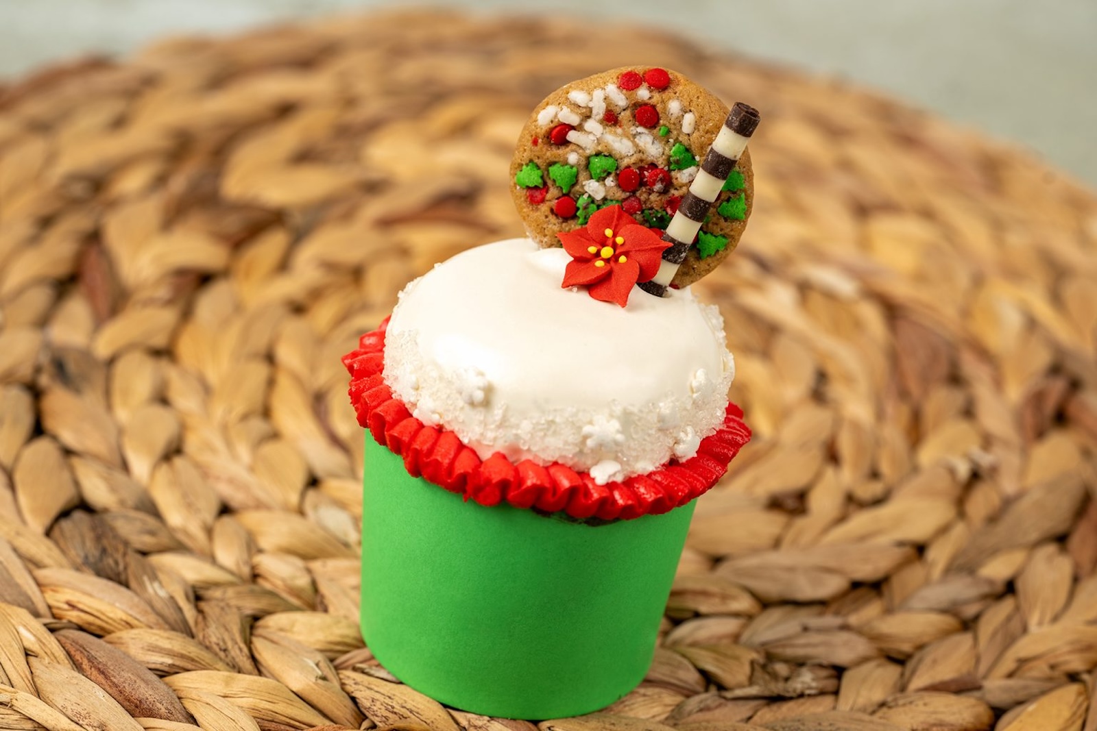 Snack for Santa Animal Kingdom