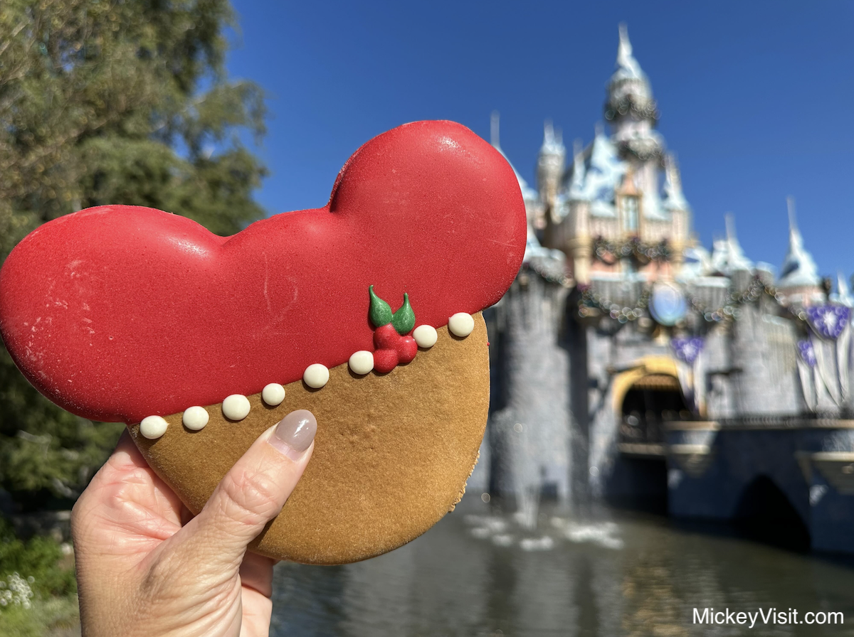 Disneyland Christmas foods review cookie