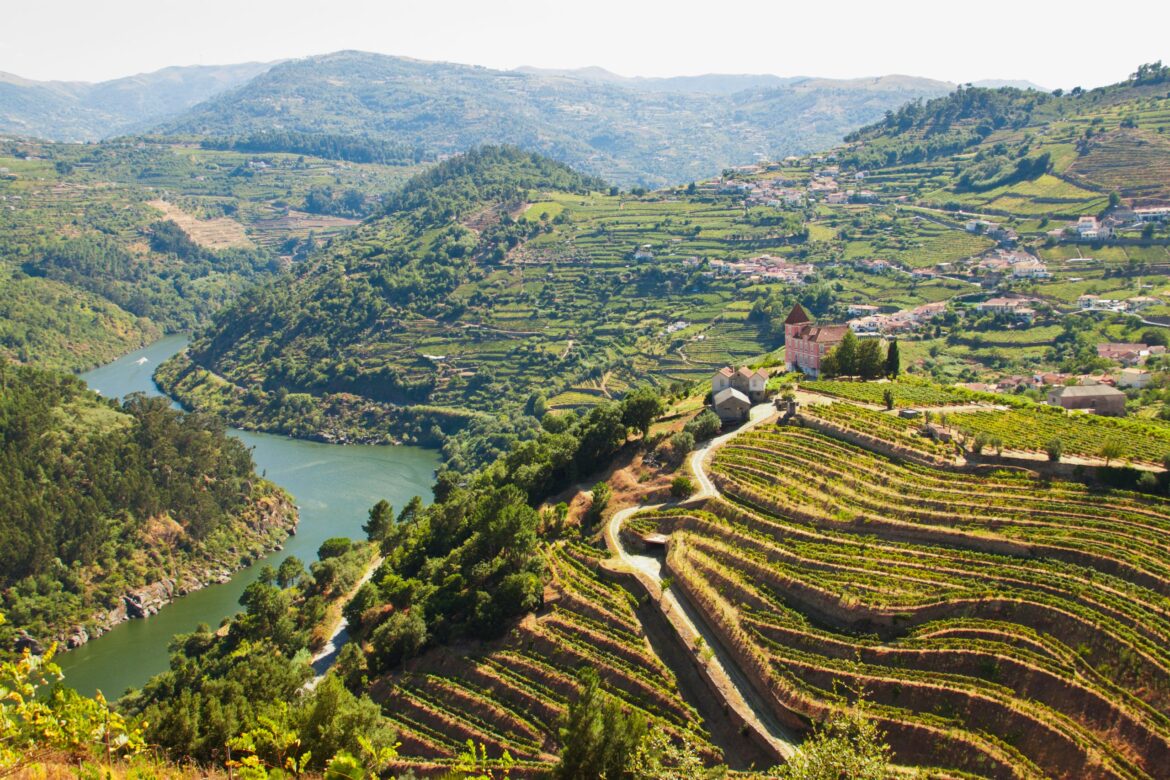 Wine producers in the Douro take to the streets
