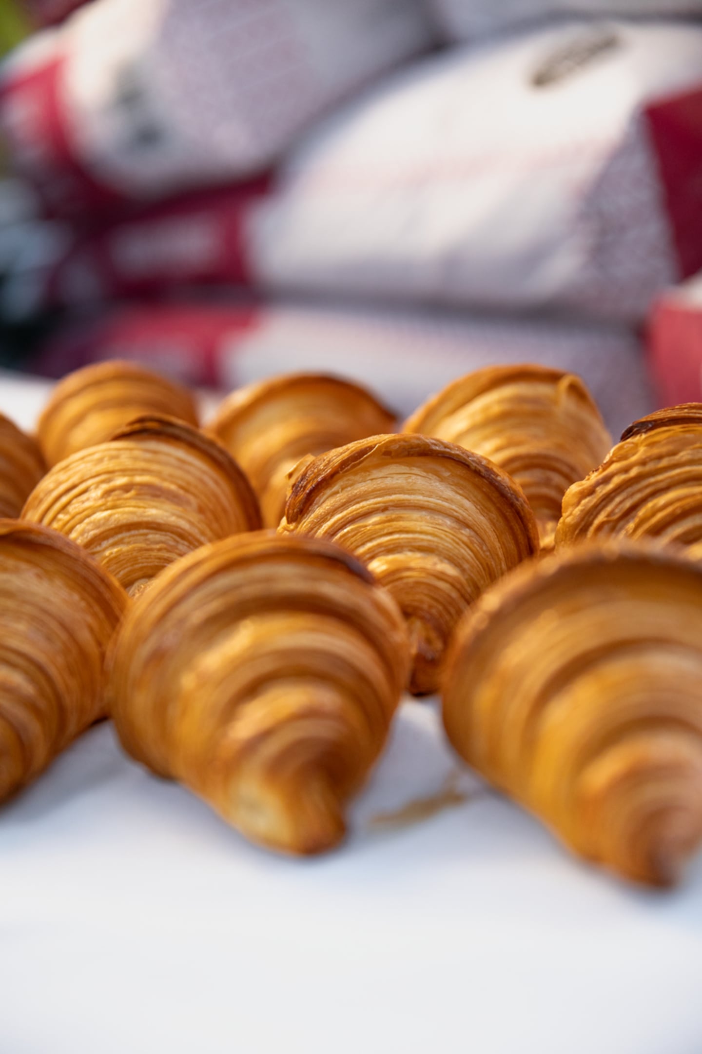 Plain croissants from the new Le Petit Four Bakery in Wellesley.