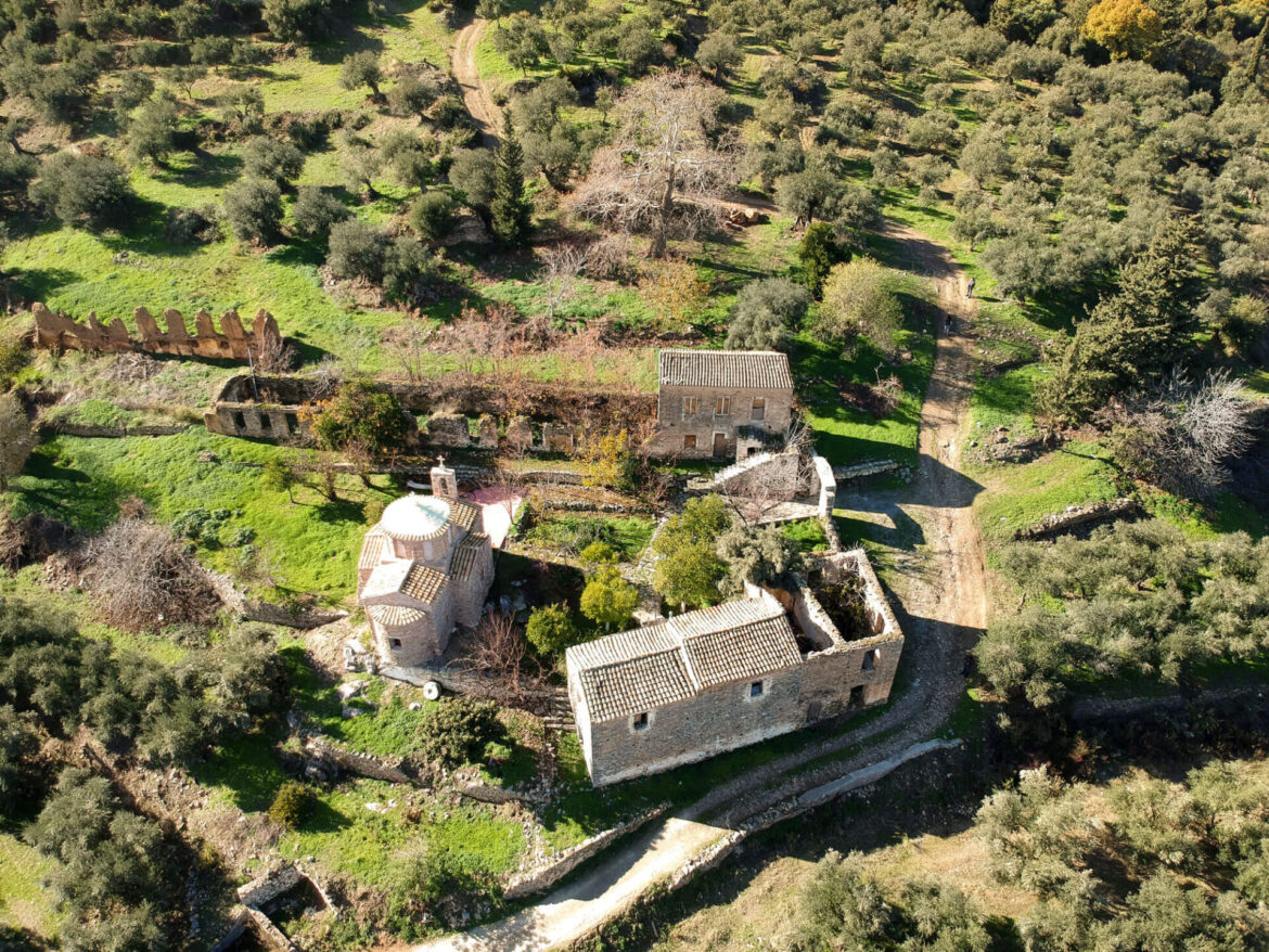How Amfora is preserving ancient olive oil traditions