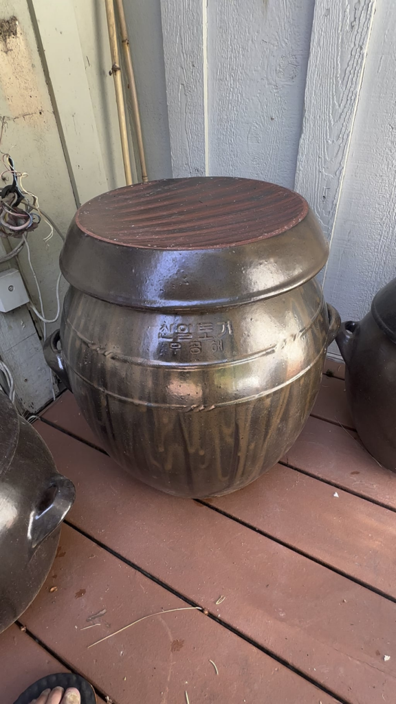 Gochujang - 1 year, 7 months