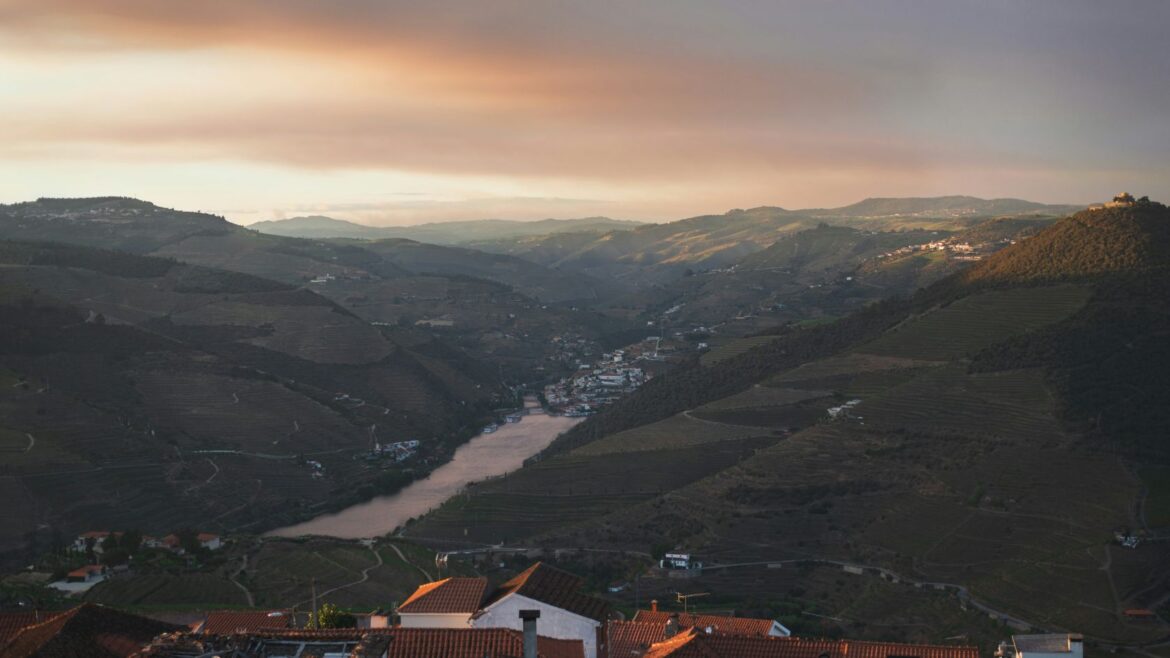 Real Estate and wine: the connection between estates and luxury