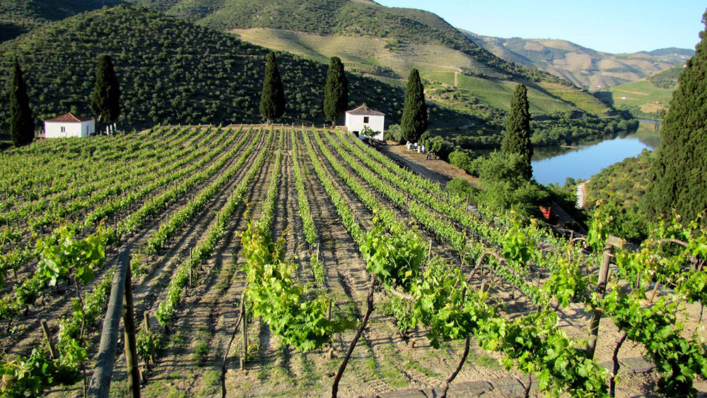 Quintada Fonte Souto