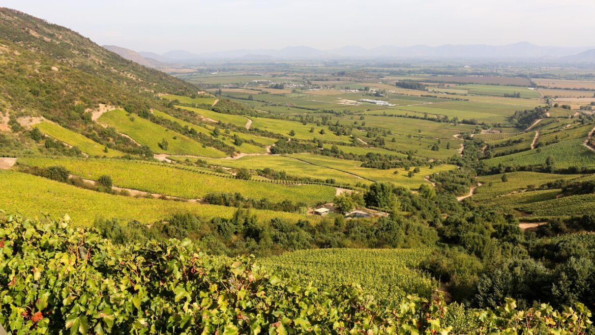 What You Need to Know About Each of Chile’s New Wine DOs