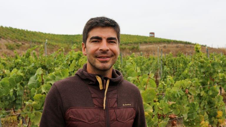 Felipe Marin