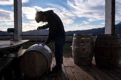 One of the workers at the Anatolia winery, in the Guadalupe Valley (Baja California).