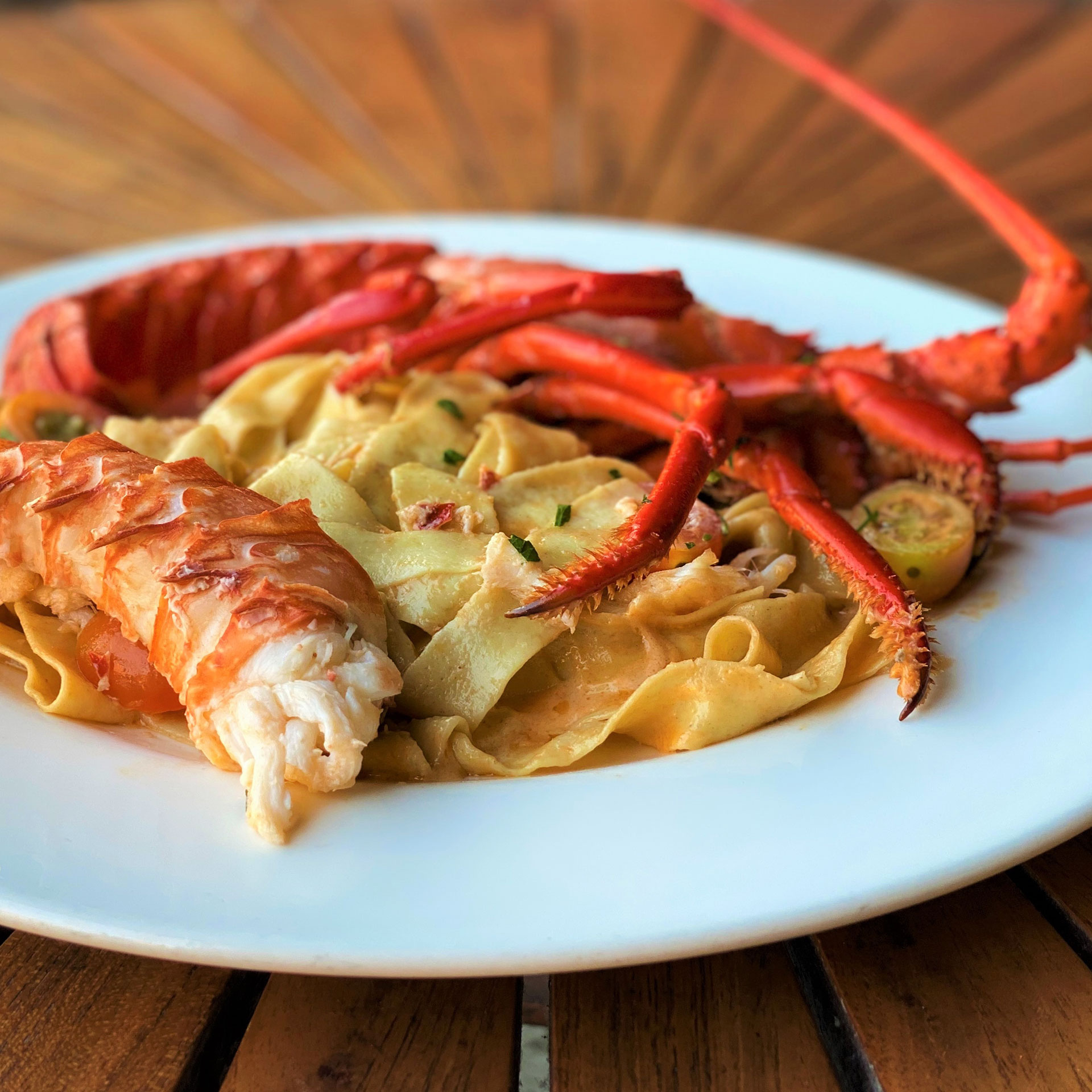 Randy Smerik / Solare