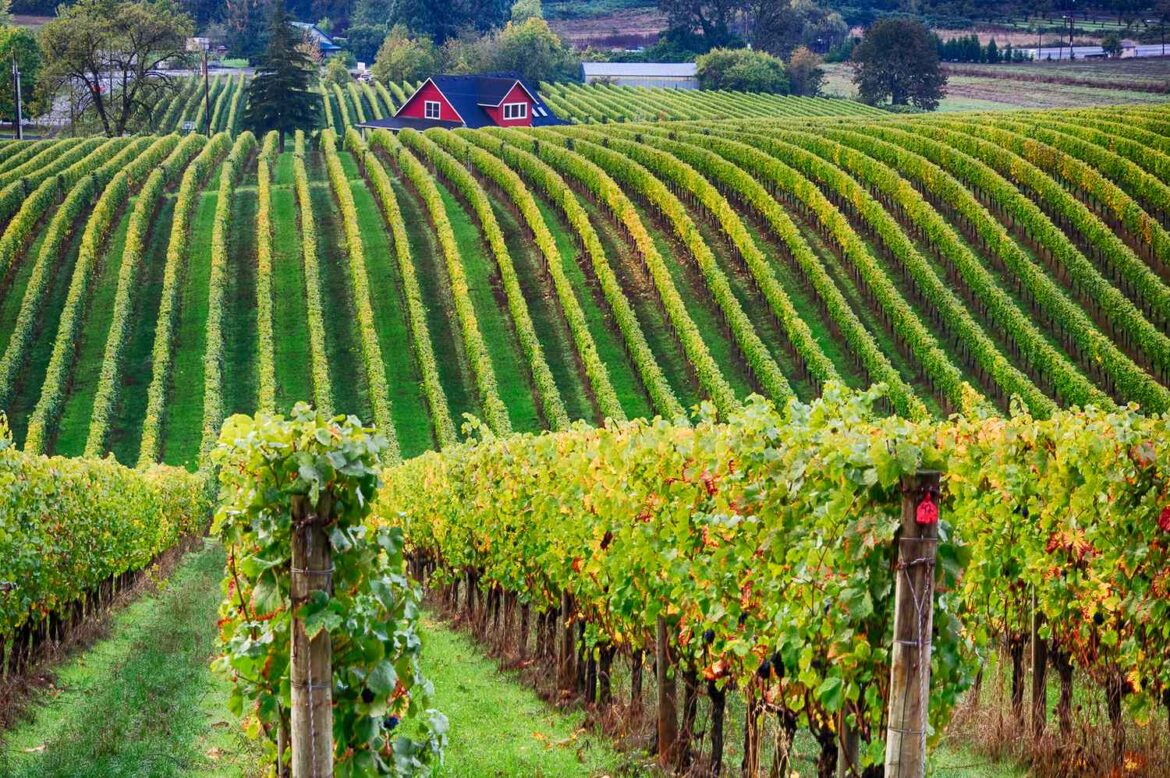The Essential Guide to Oregon’s Willamette Valley