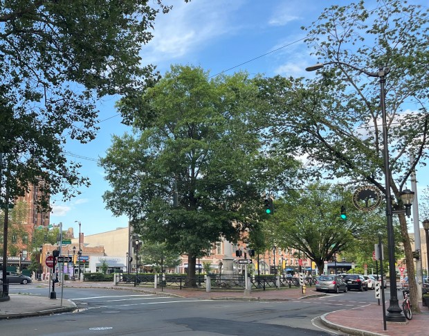 The cuisine at Casanova is Italian-inspired and located in the Broadway district of New Haven, 278 Park St. (Hartford Courant)