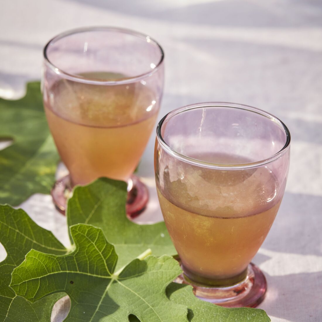 fig leaf gimlet