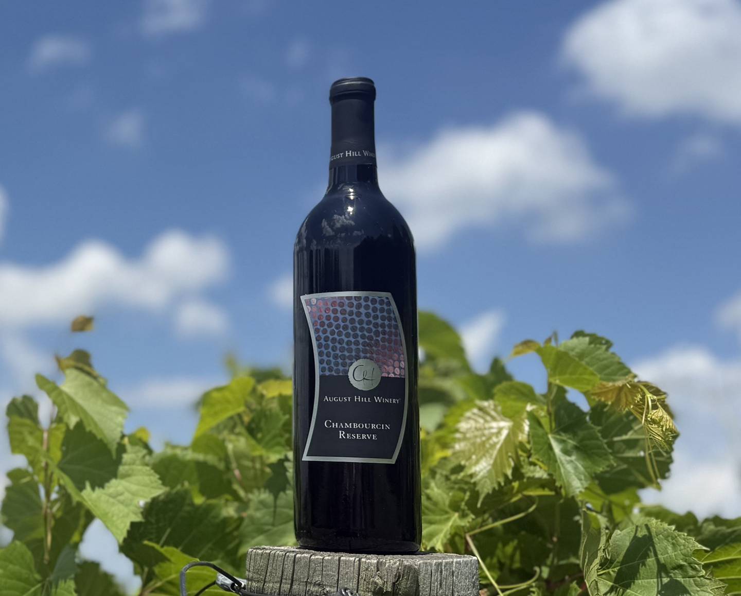 The 2022 Chambourcin Reserve received the Governor’s Cup Best Red Trophy, a double gold medal and was named Best of Class at the 2025 Illinois State Fair Wine Competition.