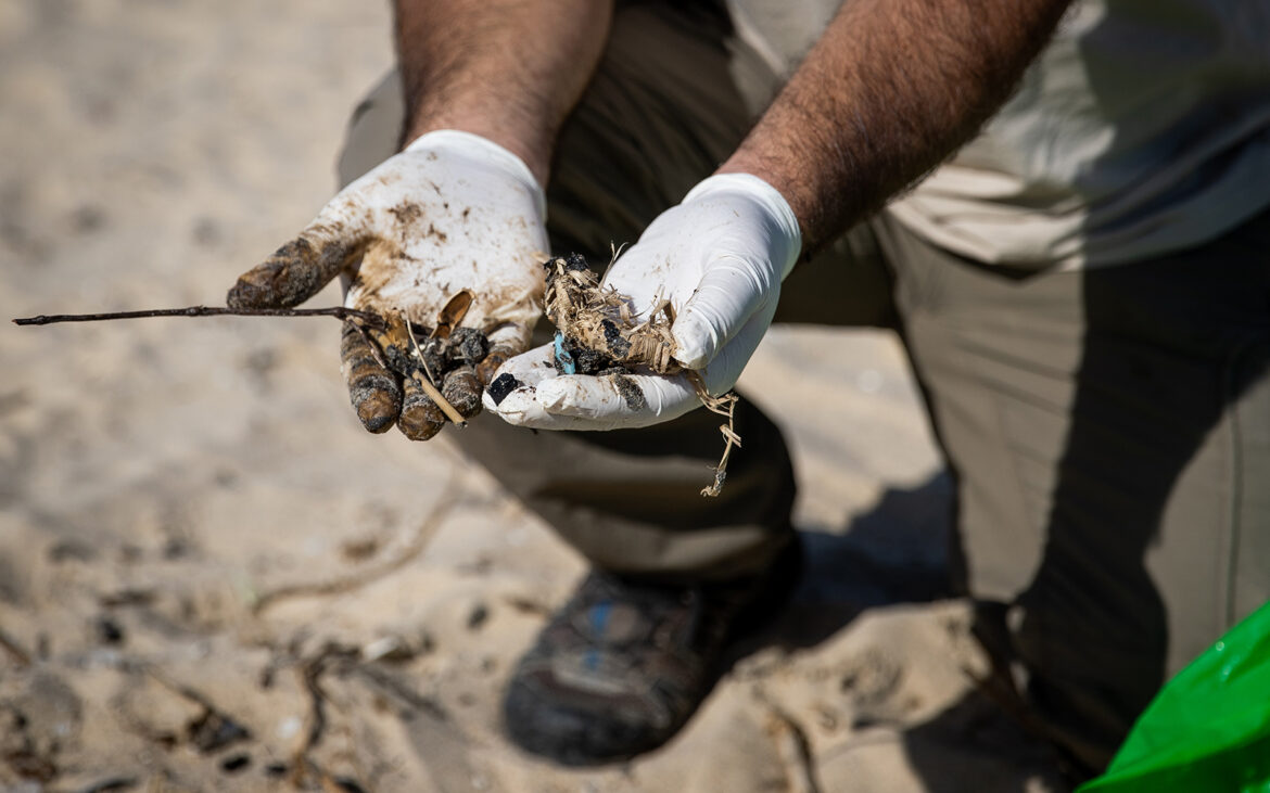 Israel bans sale of all seafood from Mediterranean after massive oil spill Israel bans sale of all seafood from Mediterranean after massive oil spill