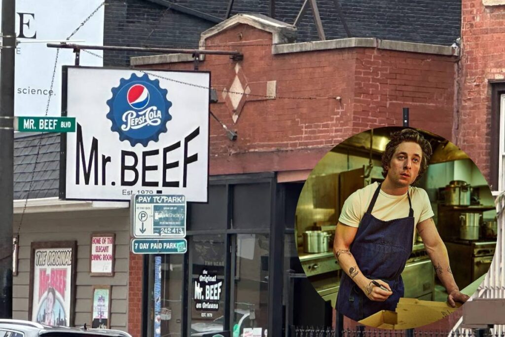Mr.Beef The Bear