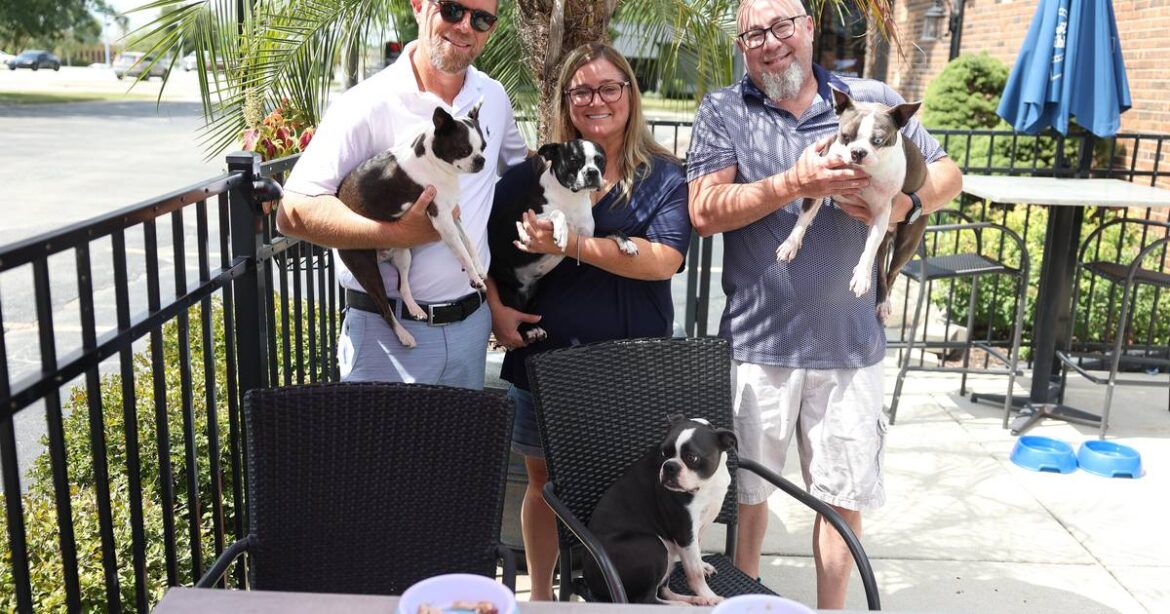 Where to dine with dogs in Will County – Shaw Local