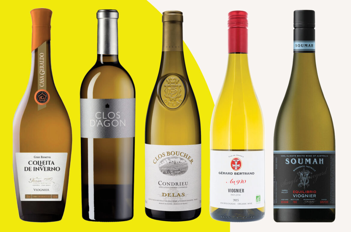 Viognier: Top-scoring wines to discover