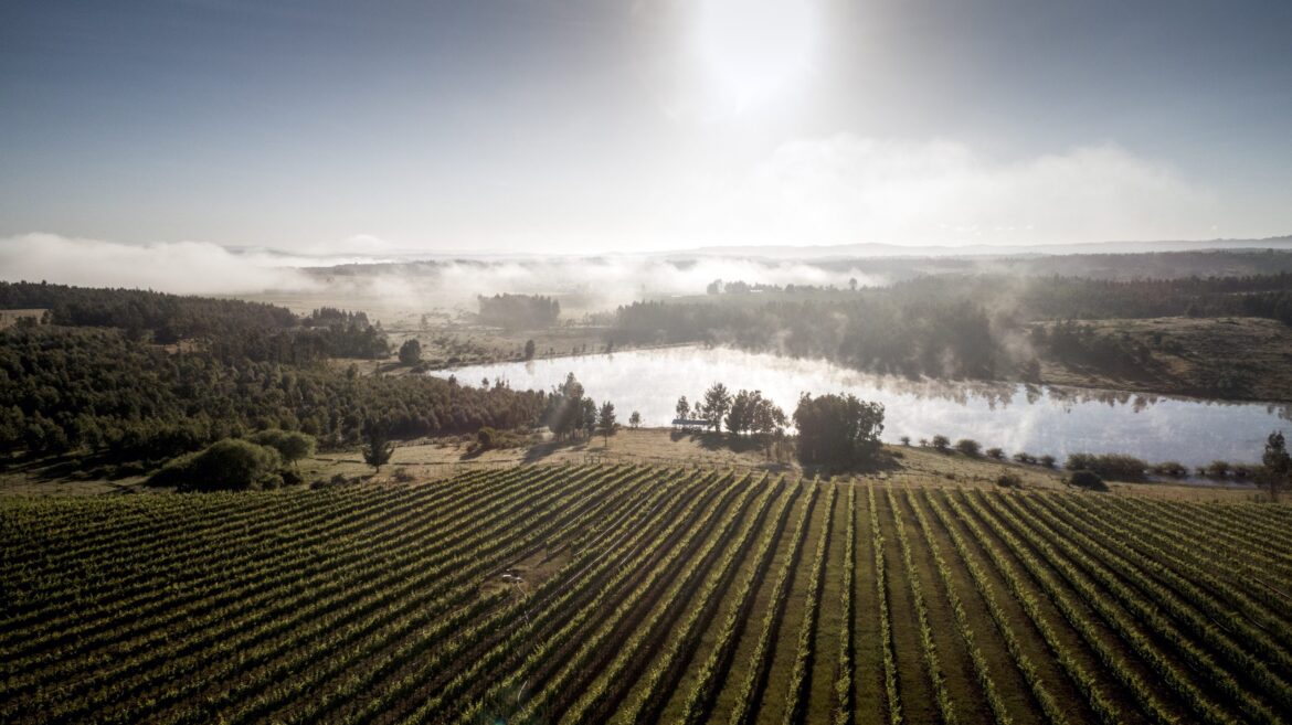 VSPT supports Mapuche families to become independent growers