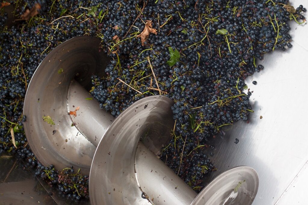 Riverland Wine asks for balanced business decisions