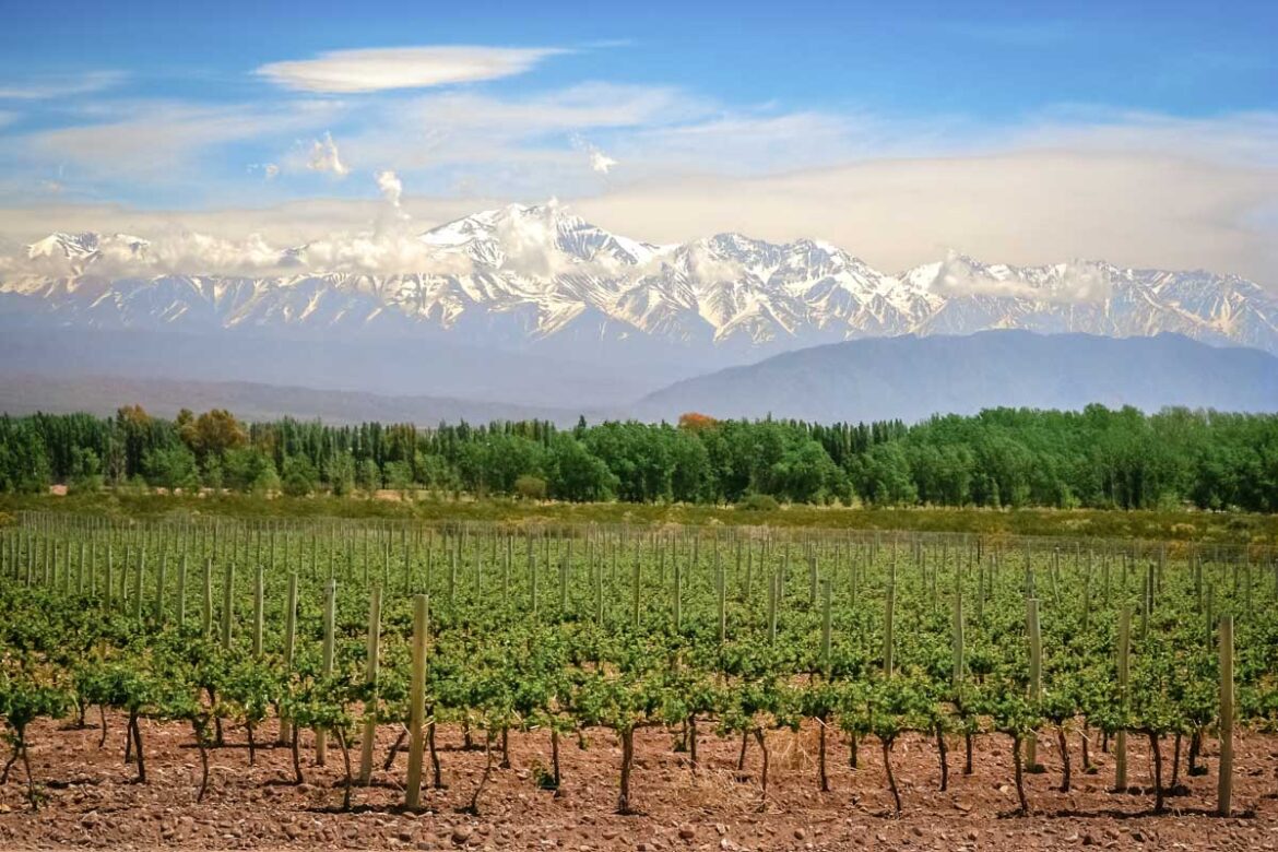 8 BEST Mendoza Wine Tours for First Timers (2025!) 8 BEST Mendoza Wine Tours for First Timers (2025!)