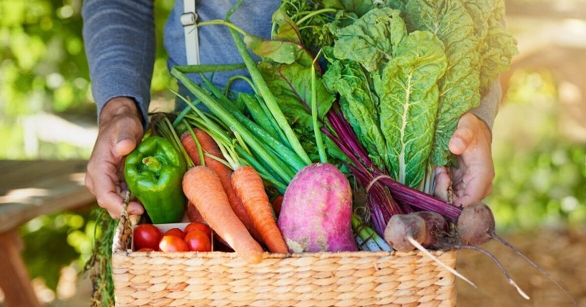 Nearly all of France’s population contaminated with heavy metals, finds study