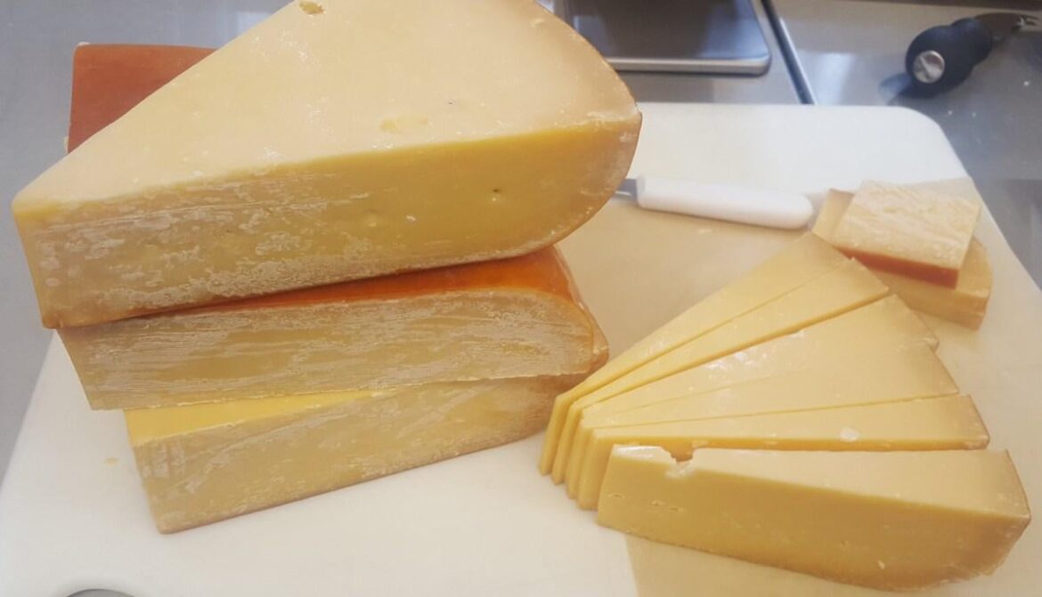 Article : That White Stuff on Your Cheese