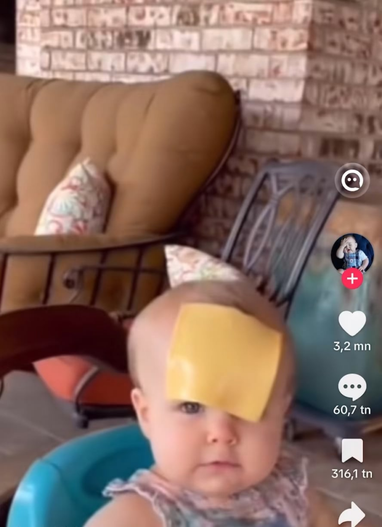 Life lessons, cheese lessons