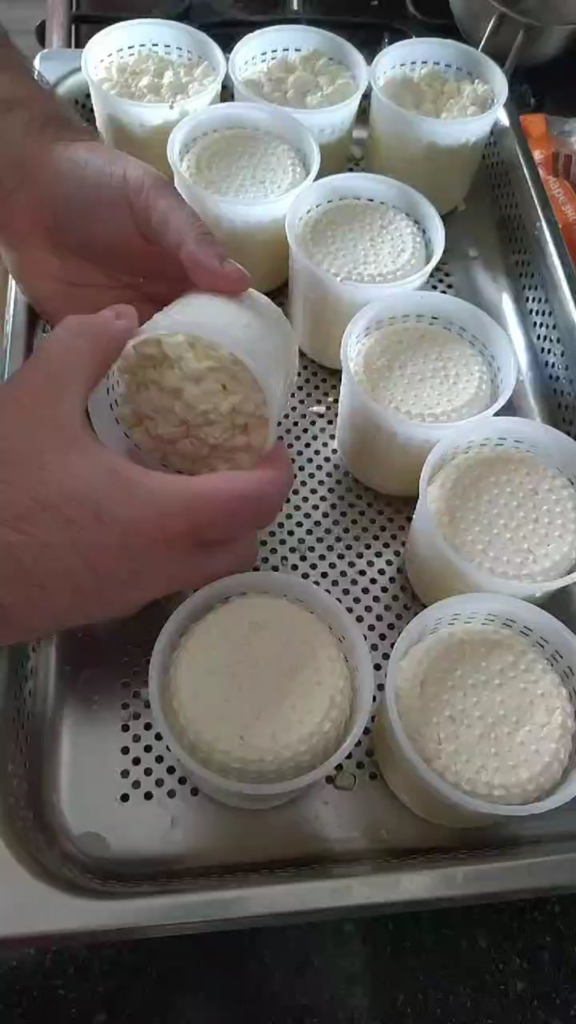 Camembert production.