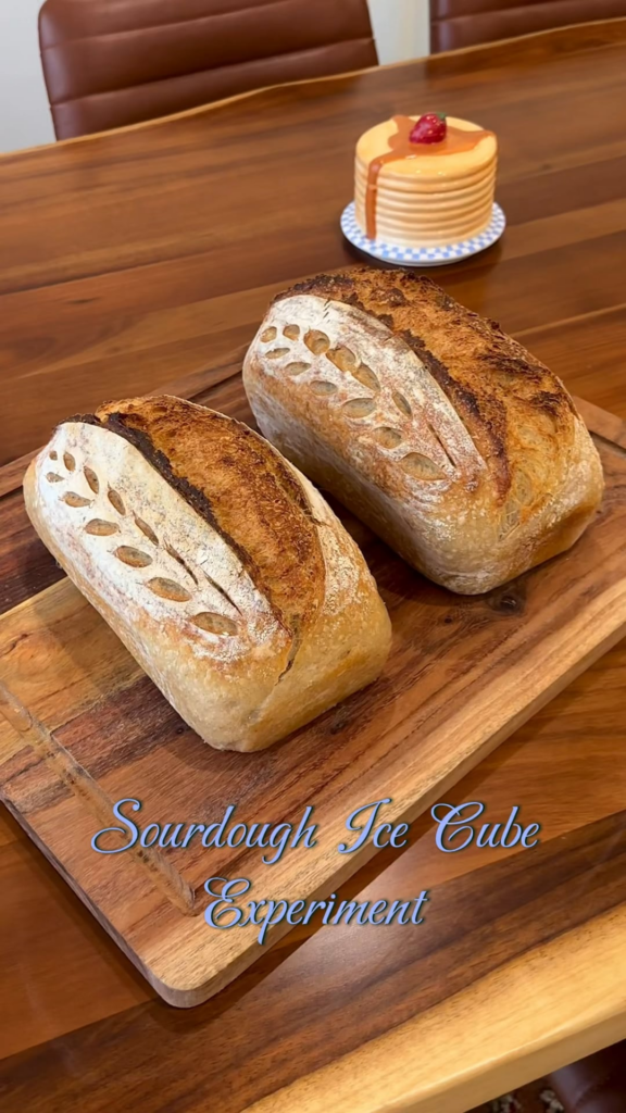 Sourdough Ice Cube Experiment 🍞🧊 Sourdough Ice Cube Experiment 🍞🧊