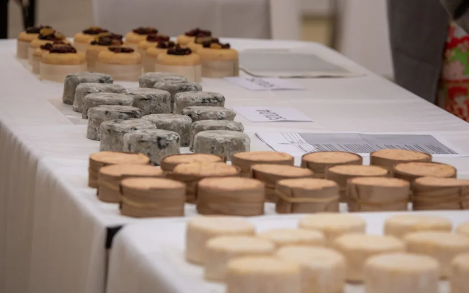 Innovative takes on White Lake's cow's milk Solstice cheese, entered at the Affineur of the Year competition