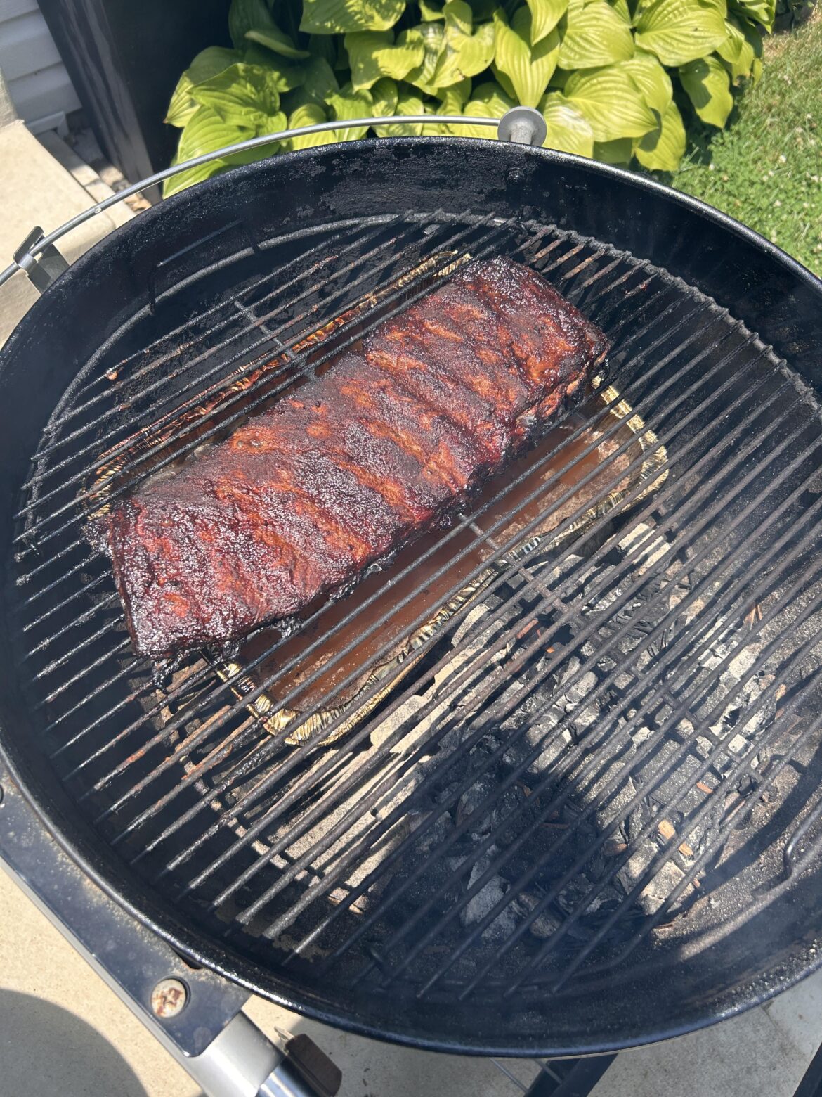 My Ribs Came Out Perfect!