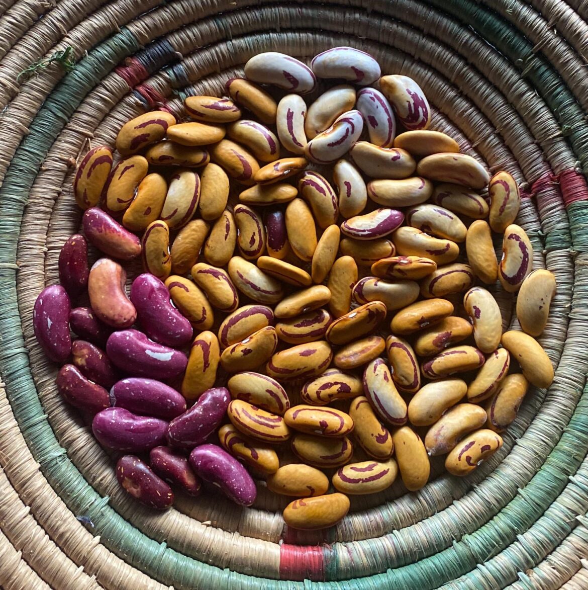 ok but are these not the most beautiful beans you’ve ever seen