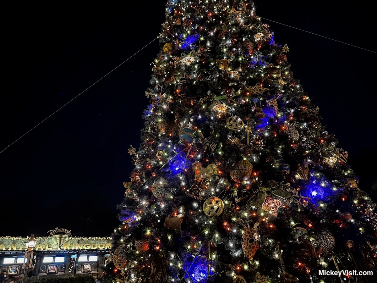 Animal Kingdom Christmas