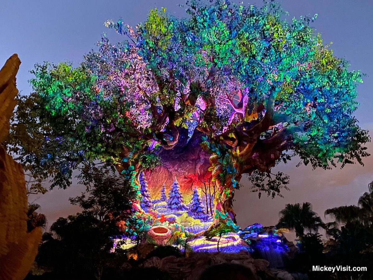 Animal Kingdom Tree of Life