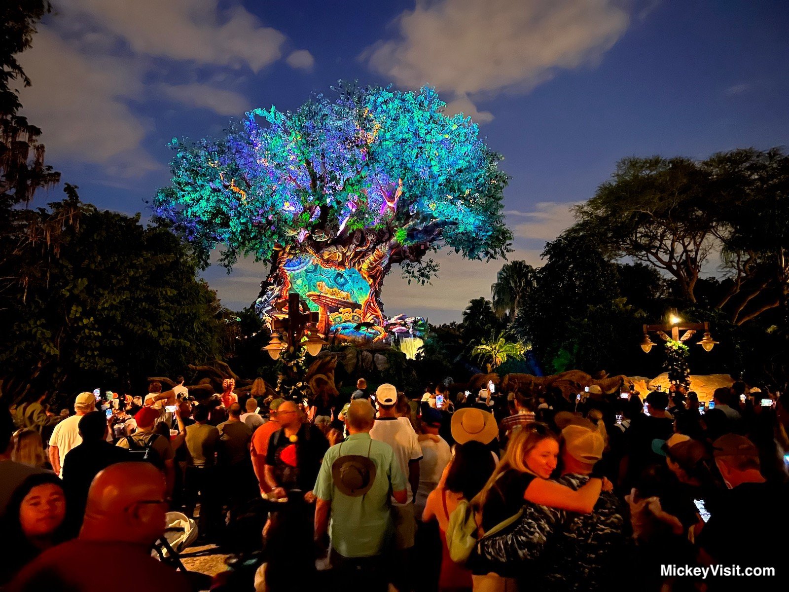 Tree of Life