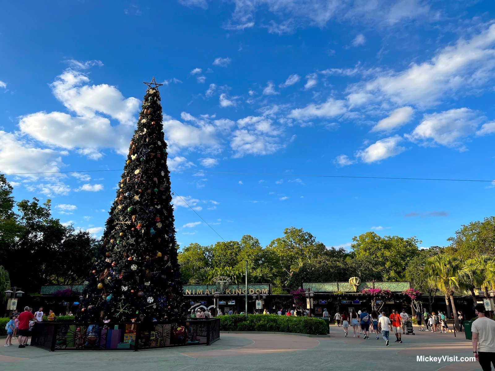 Holiday Animal Kingdom