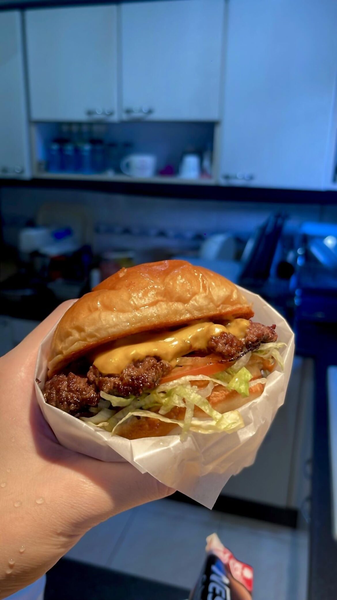 Homemade Cheeseburger