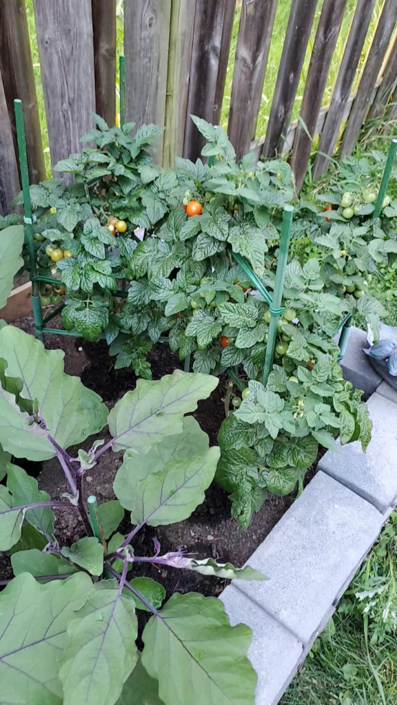 Just want to share my garden with someone :)