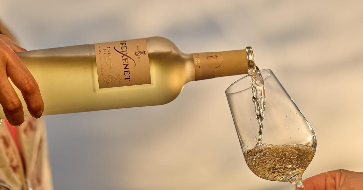 Freixenet renews the image of its most aromatic and refreshing wines
