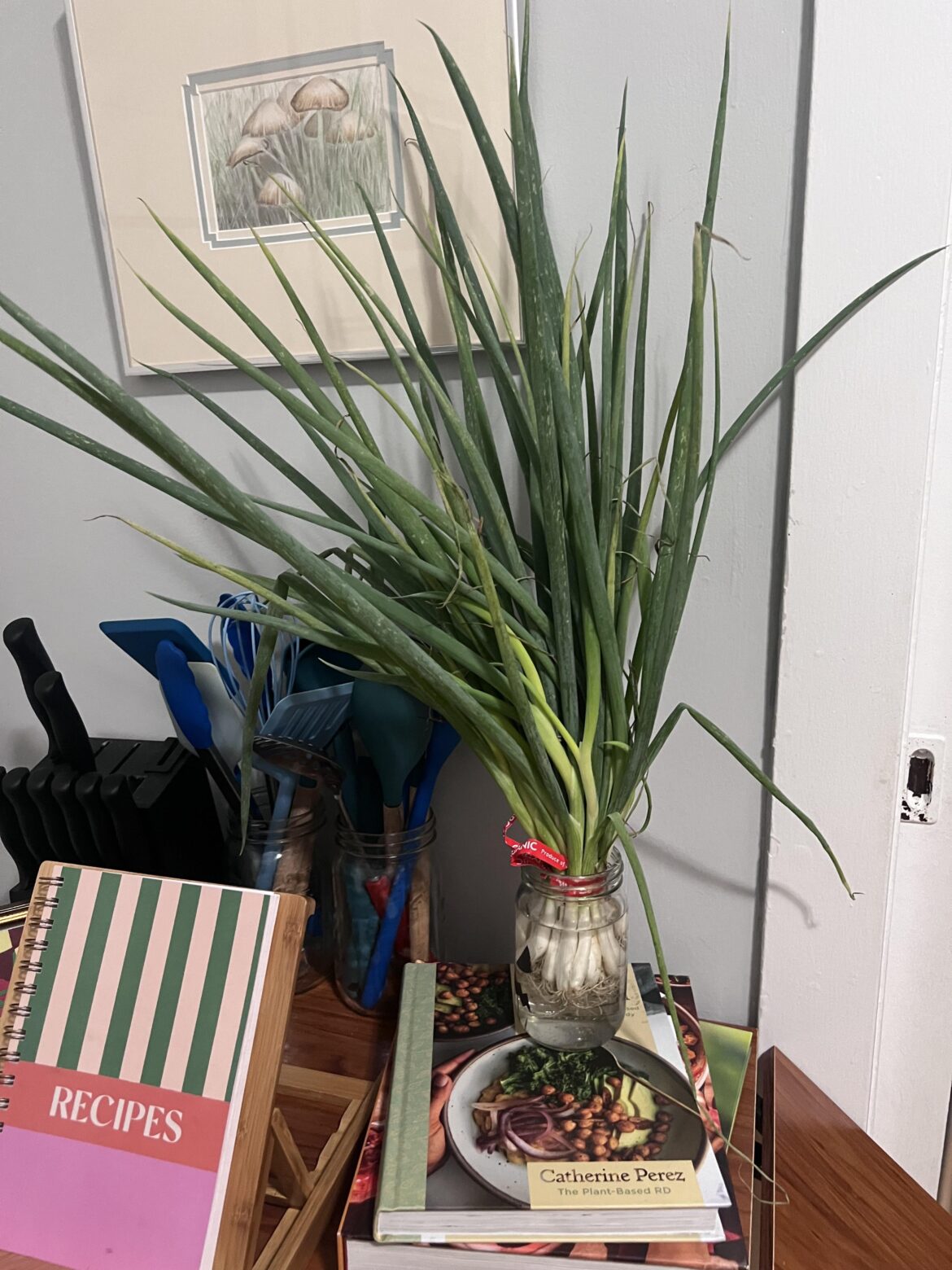 Any ideas for what to do with a TON of scallions?