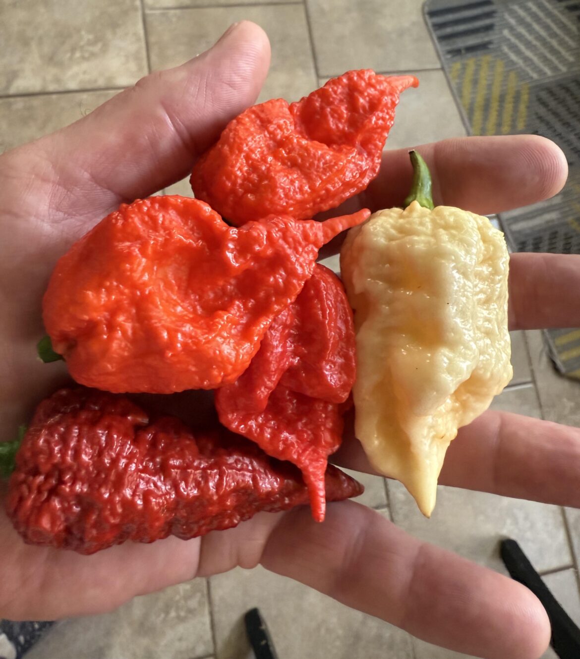 I like big pods and I cannot lie…