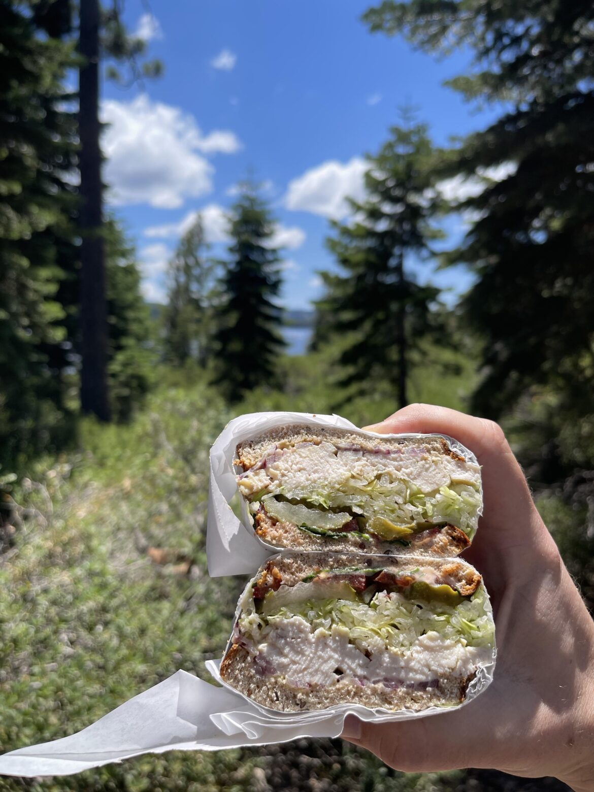 [campsitemade] Sous vide chimichurri chicken, iceberg, tomato, dijonnaise, dill pickles, fresh basil, whole wheat