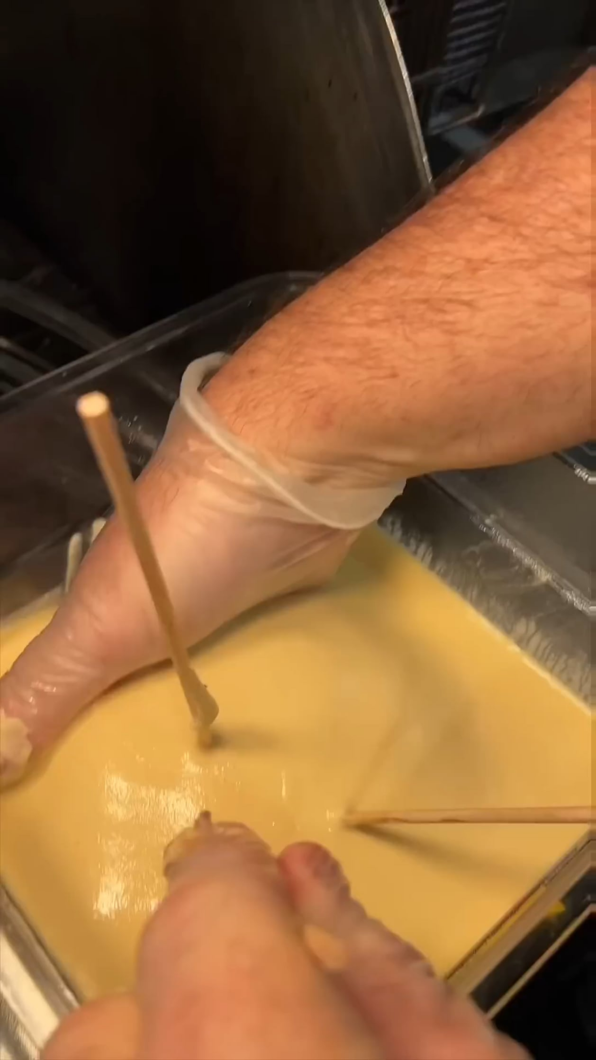 Would like mayonnaise with it