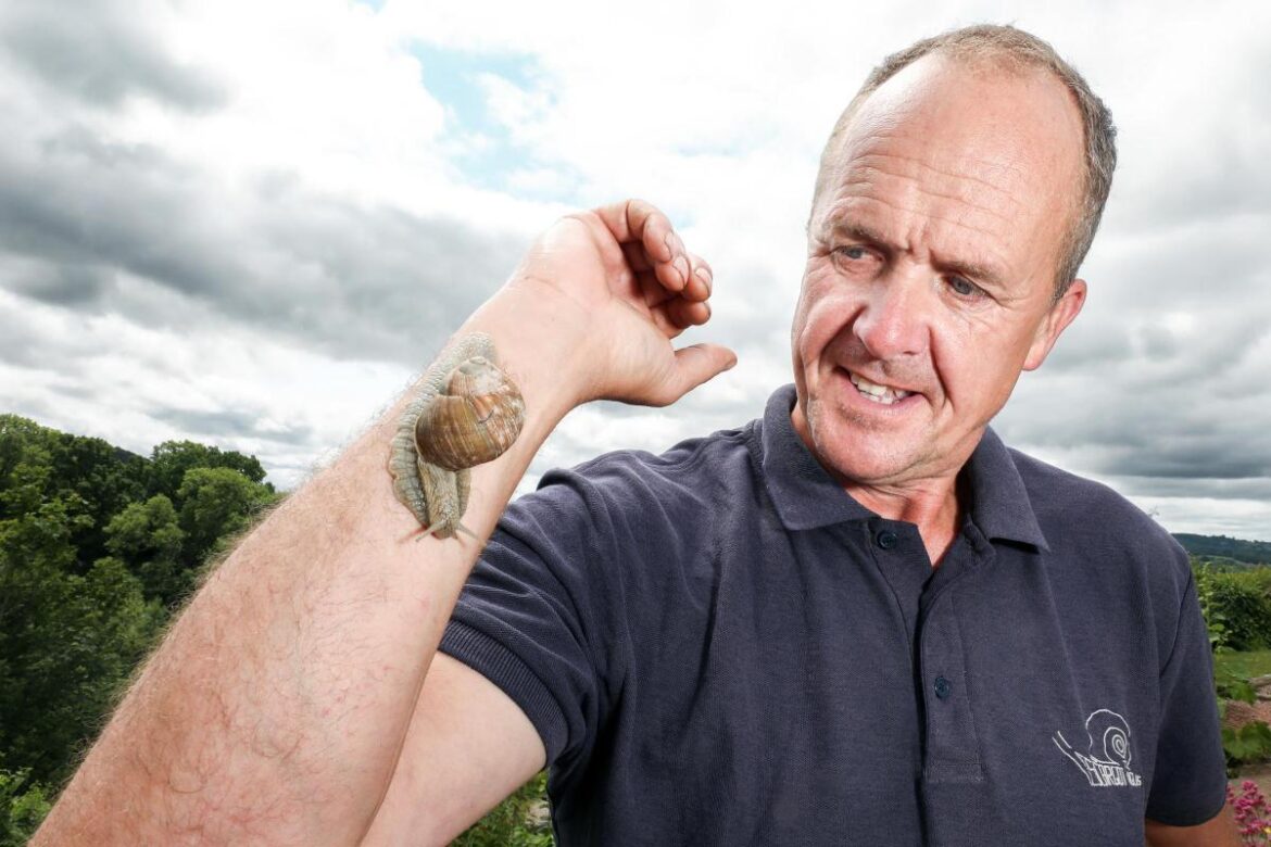 L'Escargot Anglais owner Richard Fishbourne with a prized Helix pomatia snail. <i>(Image: ROB DAVIES)</i>