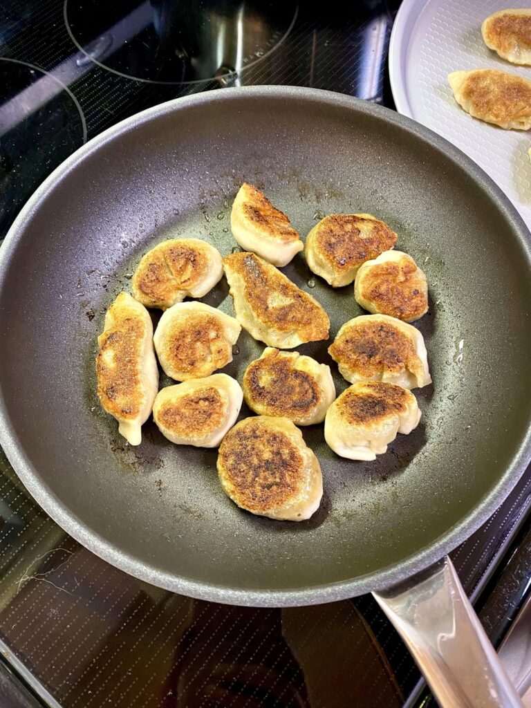 What I made for my boyfriend’s birthday! Homemade gyozas (what a pain), tofu and veggies stir-fry with udon noodles and a decadent mint brownie